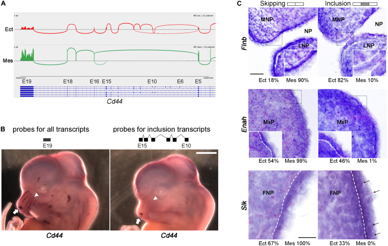 FIGURE 4