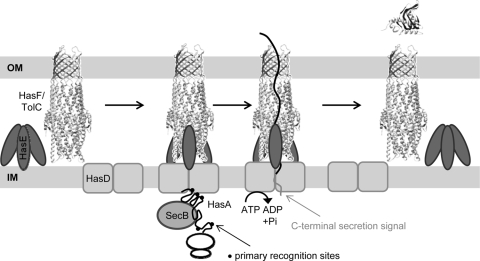 FIG. 7.