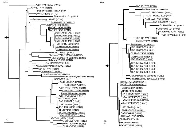 FIG. 2.