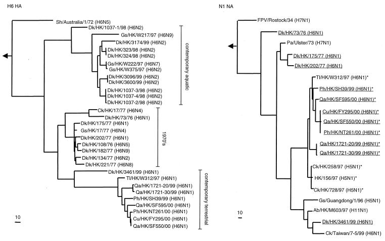 FIG. 1.