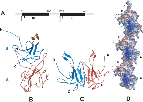 FIG. 1.