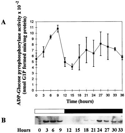 FIG. 6