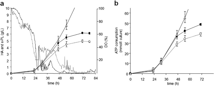 FIG 5