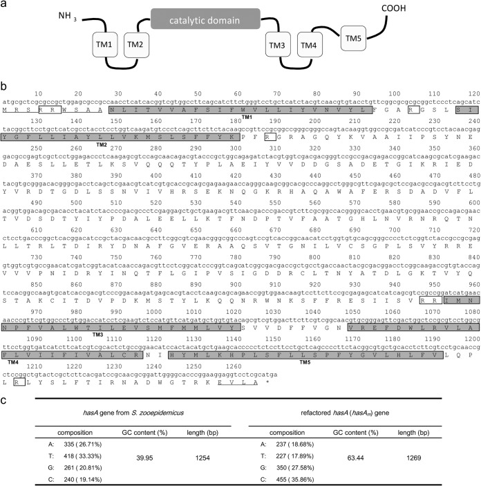 FIG 2