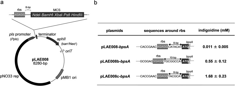 FIG 1