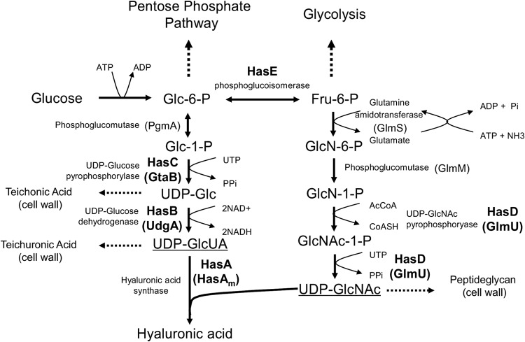 FIG 3