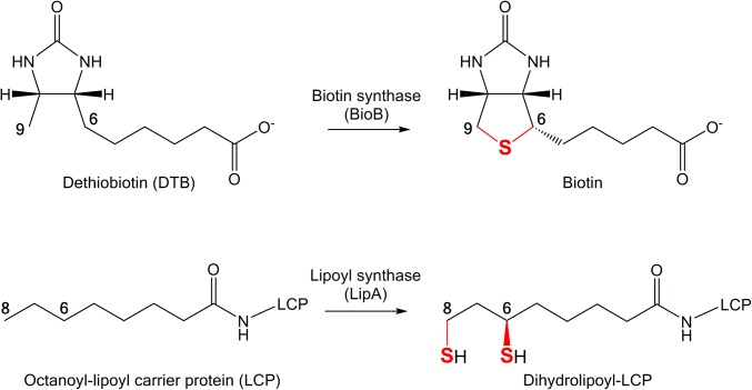 Scheme 1.