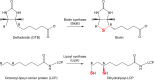 Scheme 1.