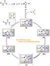 Scheme 2