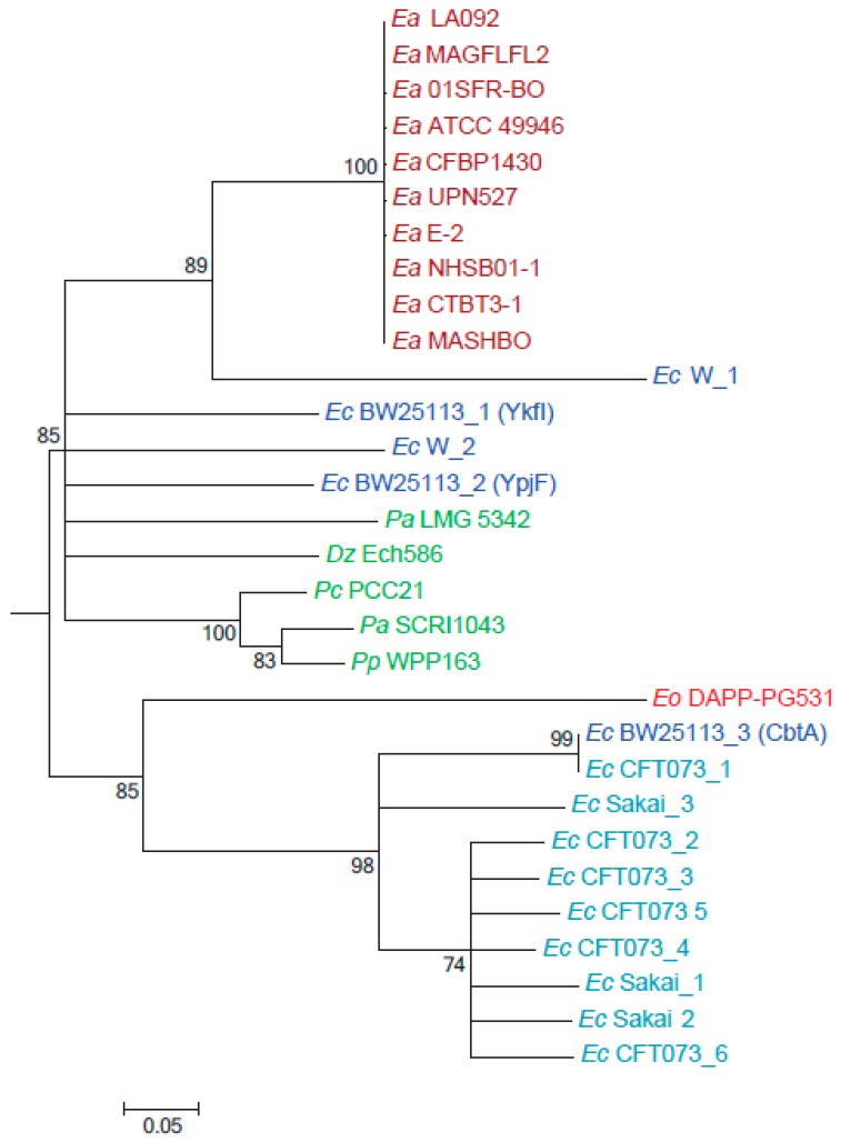 Figure 5