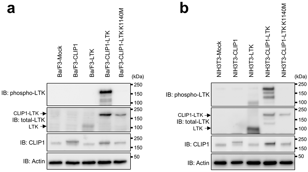 Extended Data Fig. 4: