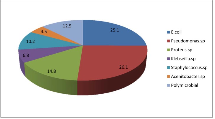 Figure2