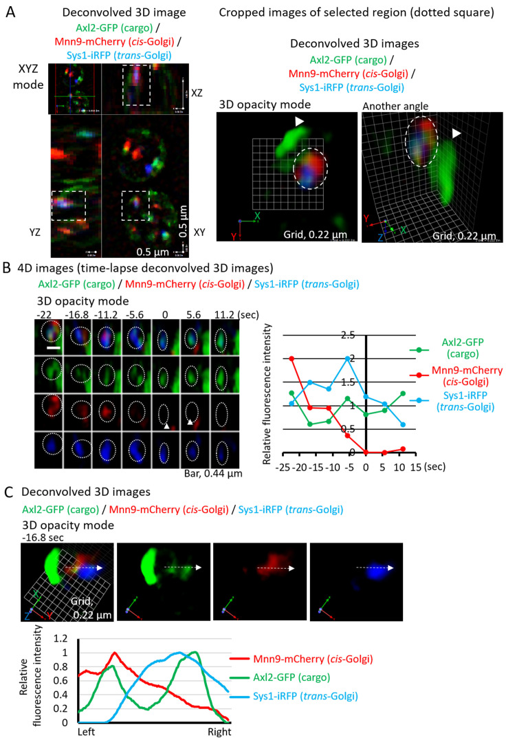 Figure 4.