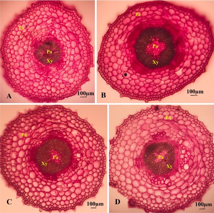 Fig. 7