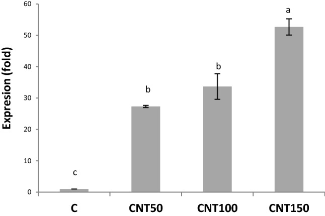 Fig. 6