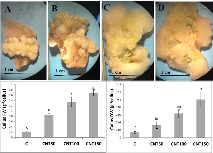 Fig. 8