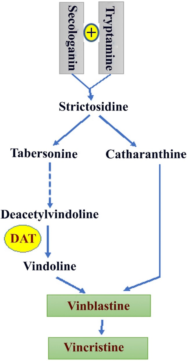 Fig. 1