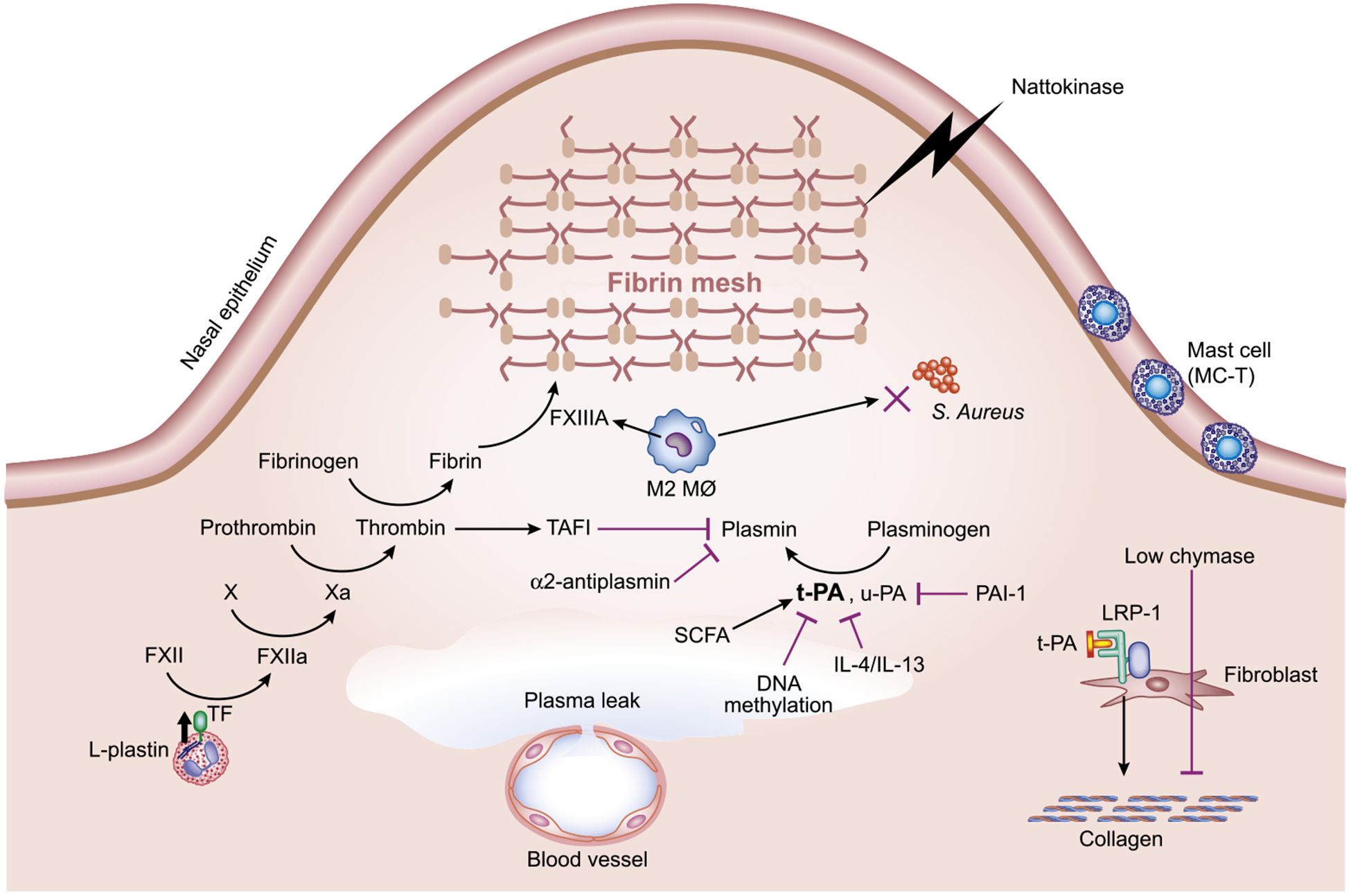 FIG 3.