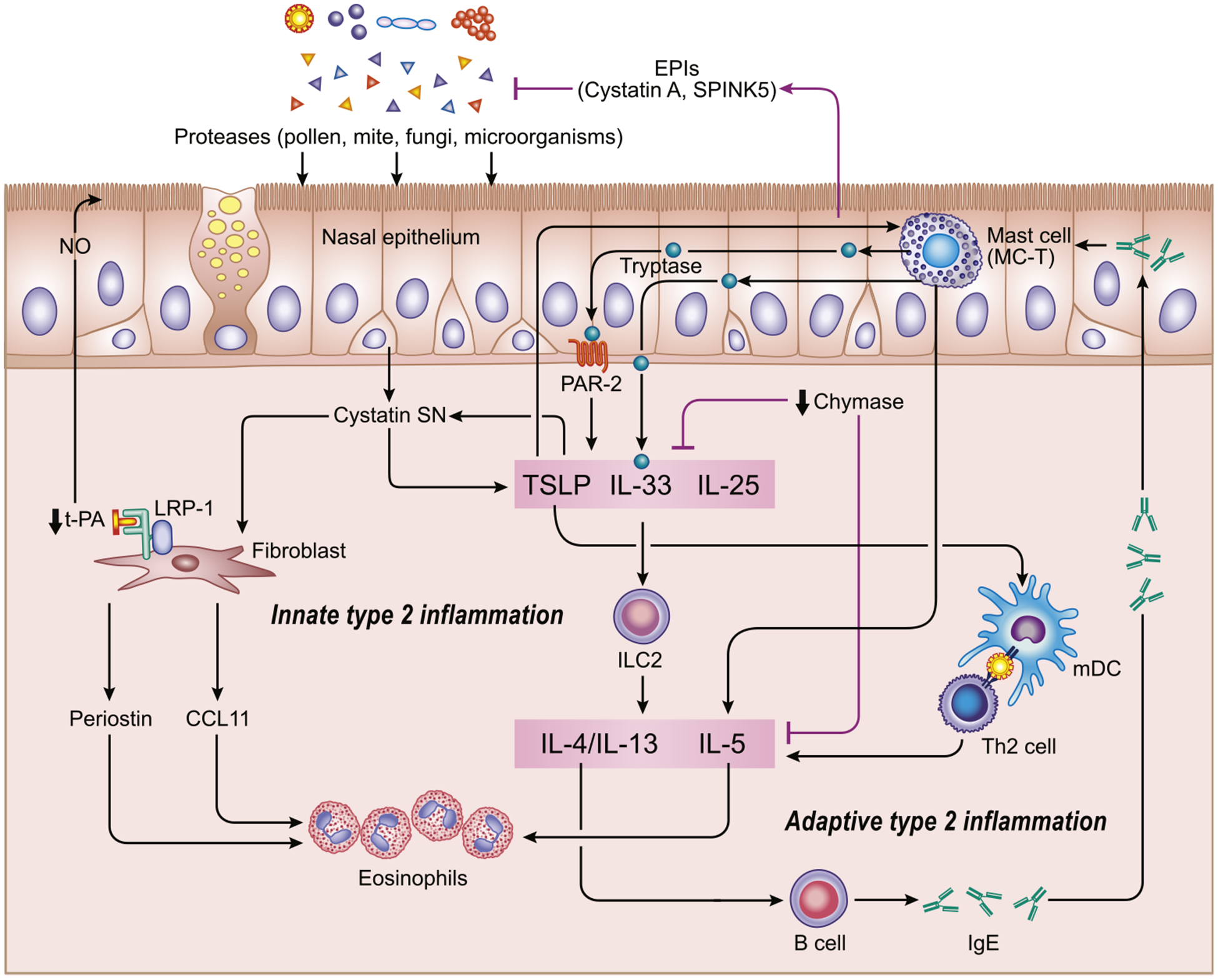 FIG 2.