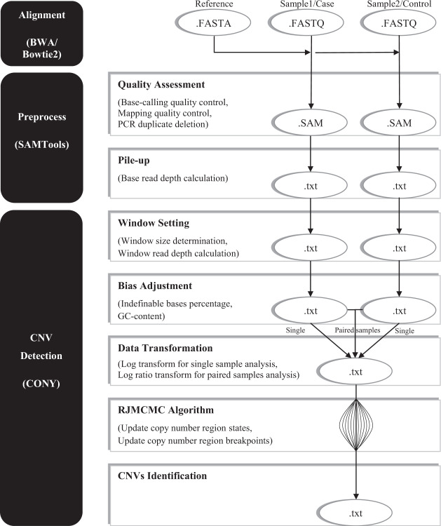 Figure 1