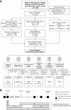 Figure 1. Inclusion of patients in subanalyses. A, Flow diagram of patient inclusion in subanalyses with clinical questions answered by each analysis denoted. Clinical questions numbered from 1–6. B, Outline of plasma samples included in each subanalysis. Numbered bars correspond to numbered clinical questions denoted in A. CRC, colorectal cancer; OS, overall survival; postOP, postoperative blood sample; postACT, post adjuvant chemotherapy blood sample.