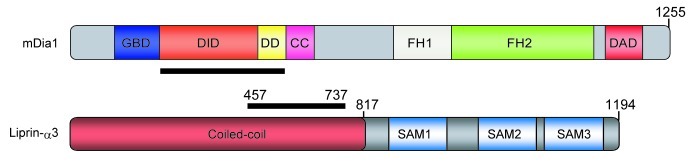 graphic file with name bioa-2-43-g3.jpg