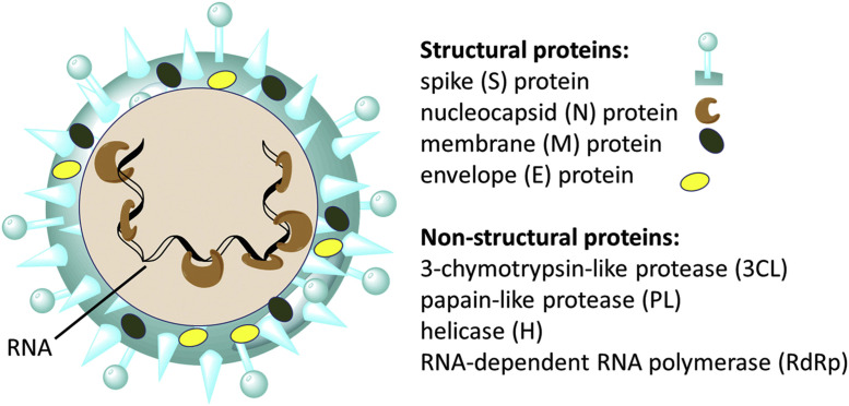 Figure 2