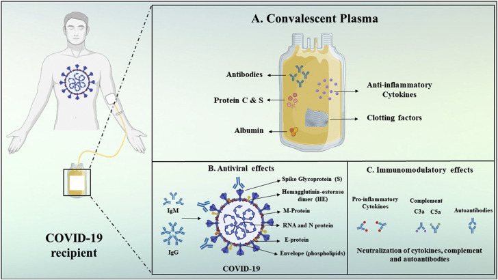 Figure 5