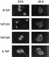 FIG. 3