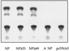FIG. 5