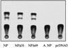 FIG. 6