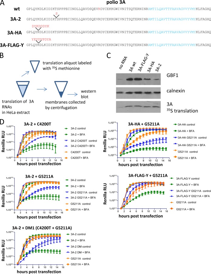 FIG 6