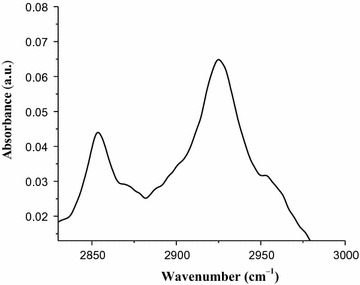 Fig. 3