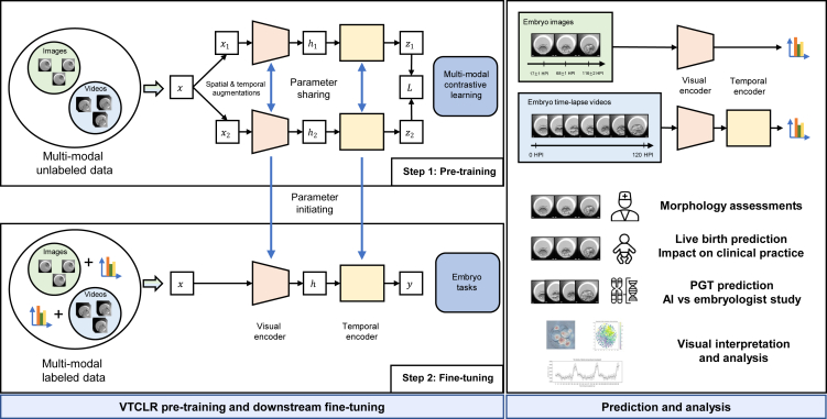 Figure 1