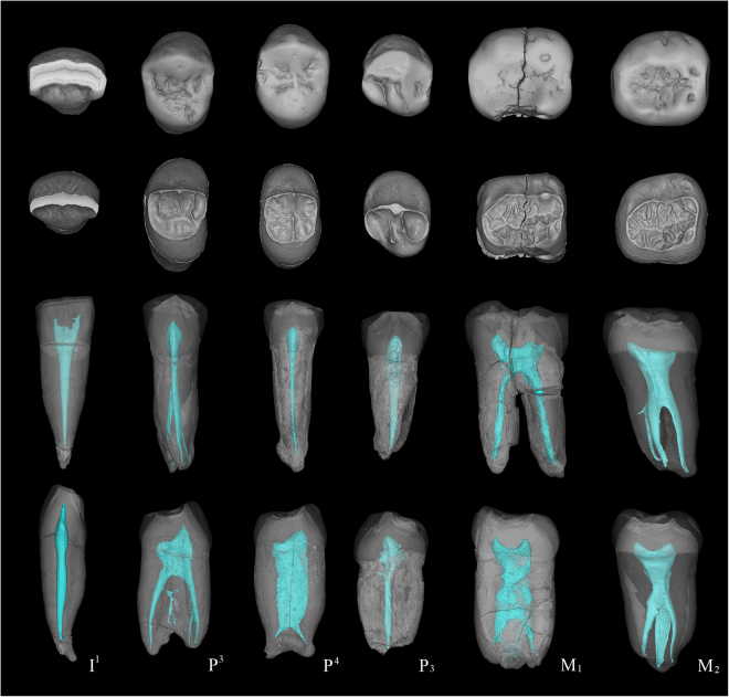 Figure 2