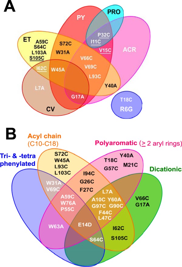 FIG 3