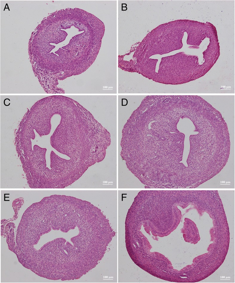 Fig. 5