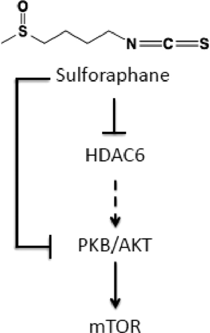 Image, graphical abstract