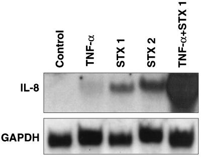 FIG. 5