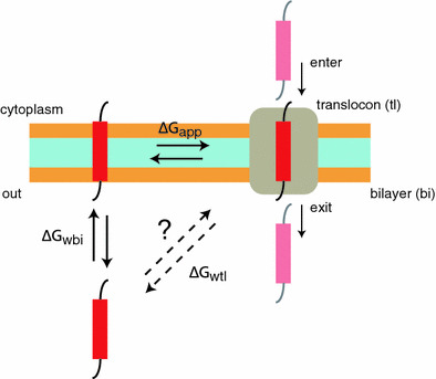 Fig. 7