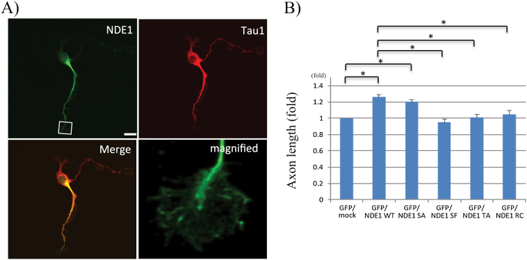 Fig. 3.