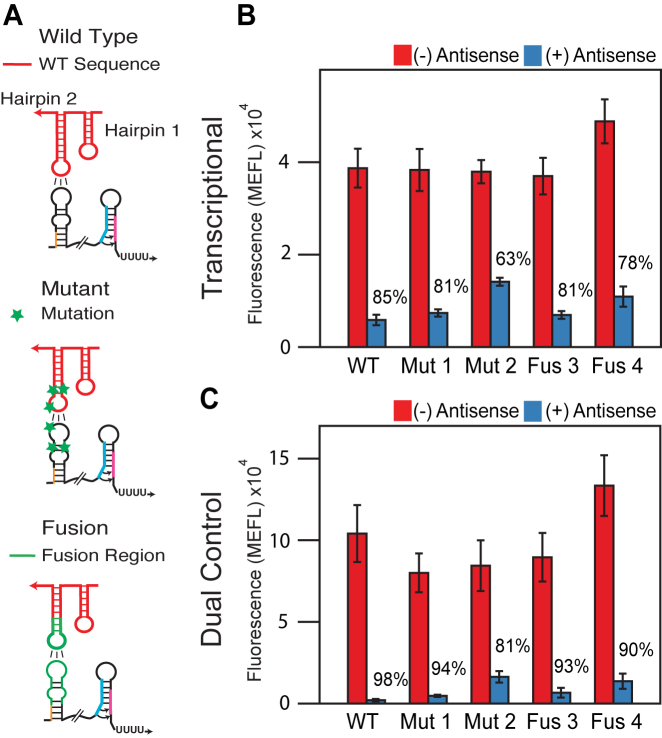 Figure 4.