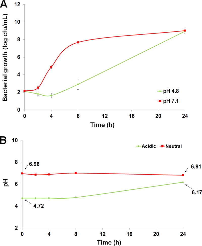 FIG 4 