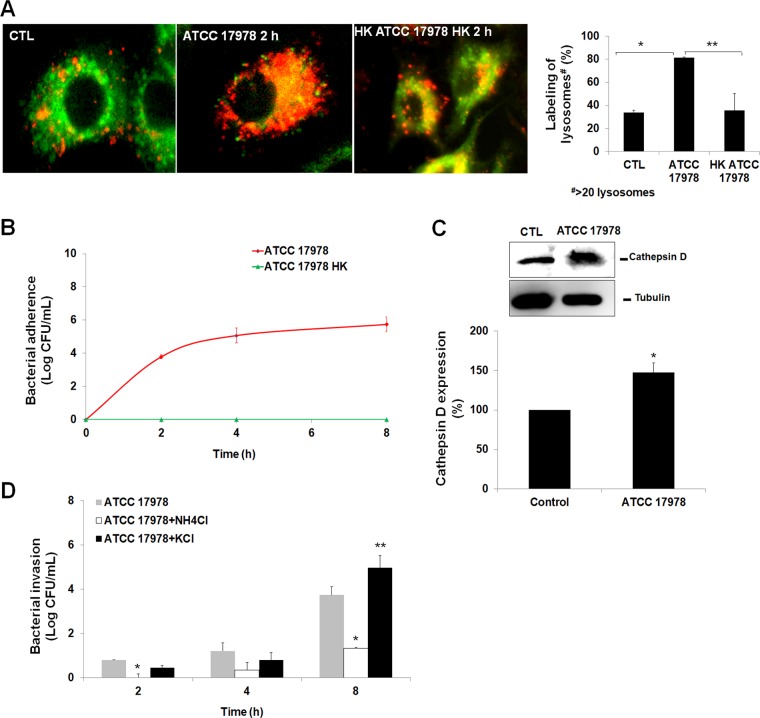 FIG 3 