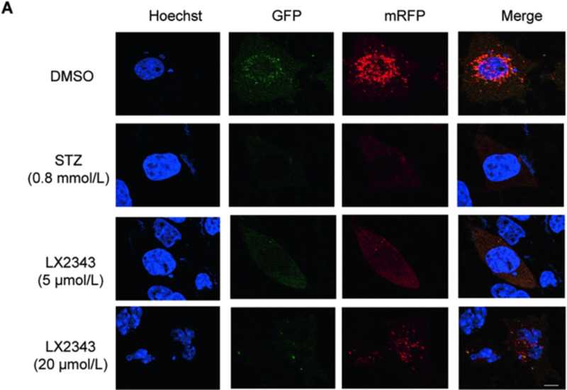 graphic file with name 41401_2024_1273_Figa_HTML.jpg