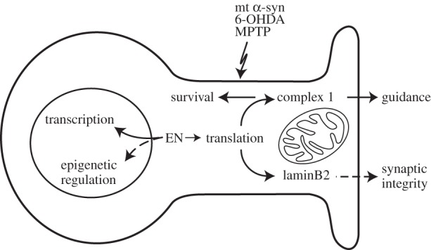 Figure 1.