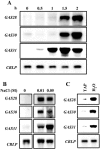 Figure 9.