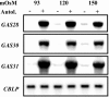 Figure 10.
