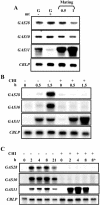 Figure 11.