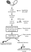 Figure 12.